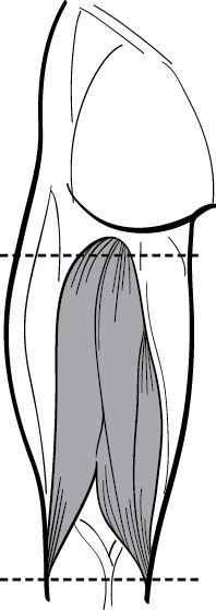 Инструменты гигантов. Секреты успеха, приемы повышения продуктивности и полезные привычки выдающихся людей - i_021.jpg