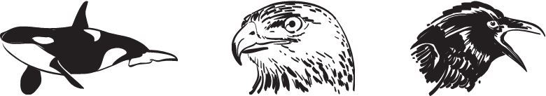 Инструменты гигантов. Секреты успеха, приемы повышения продуктивности и полезные привычки выдающихся людей - i_024.jpg