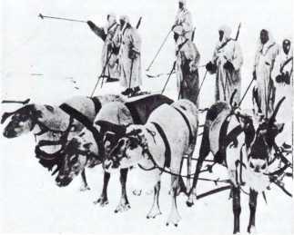 Тысяча четыреста восемнадцать дней<br />(Рассказы о битвах и героях Великой Отечественной войны) - i_398.jpg