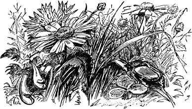 Рассказы и сказки русских писателей - i_010.jpg