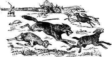 Рассказы и сказки русских писателей - i_015.jpg