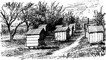 Рассказы и сказки русских писателей - i_020.jpg