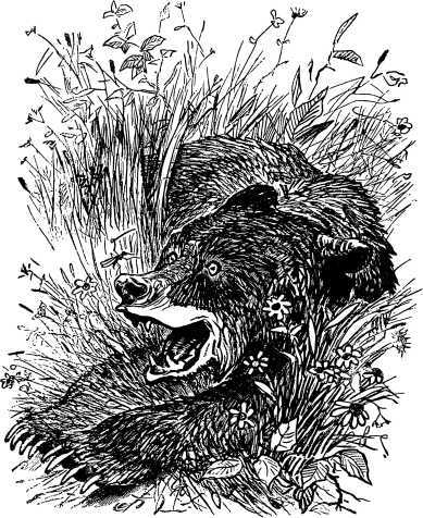 Рассказы и сказки русских писателей - i_039.jpg