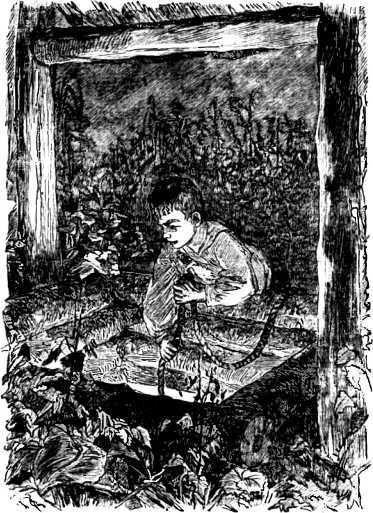 Рассказы и сказки русских писателей - i_070.jpg