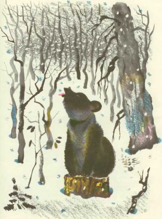 Поросенок в колючей шубке<br />(Сказки) - i_020.jpg