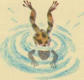 Поросенок в колючей шубке<br />(Сказки) - i_030.jpg