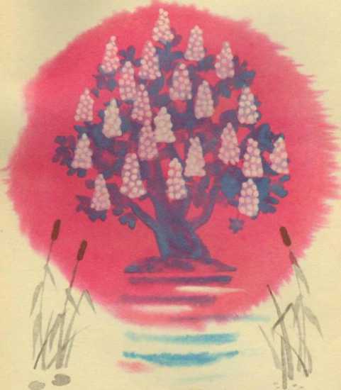 Поросенок в колючей шубке<br />(Сказки) - i_031.jpg