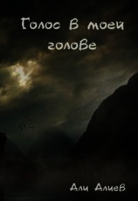 Голос в моей голове (СИ) - Алиев Али