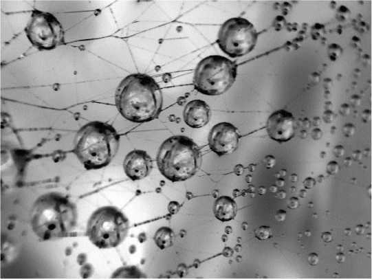 Никола Тесла<br />(Человек, опередивший время) - i_113.jpg