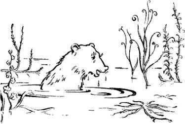 20 000 лет подо льдом<br />(Забытая палеонтологическая фантастика. Т. XXIII) - i_049.jpg