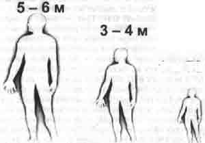 Трагическое послание древних - any2fbimgloader123.jpeg