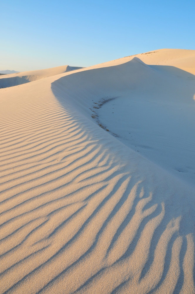 Холостяк для блондиночки (СИ) - _20.jpg