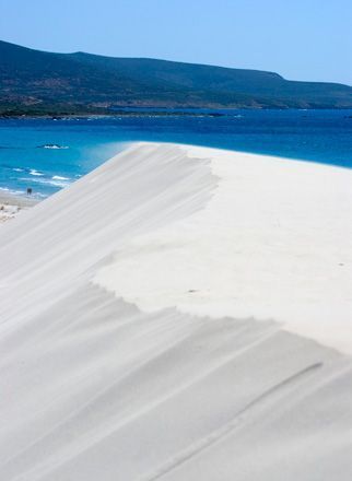 Холостяк для блондиночки (СИ) - _21.jpg