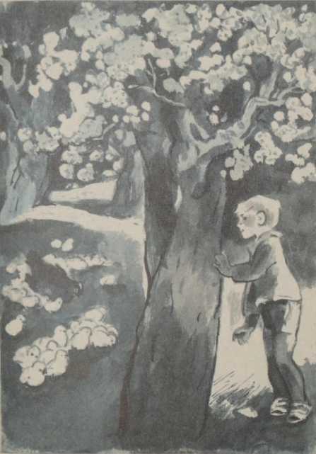 Ленивое солнце<br />(Рассказы) - i_013.jpg