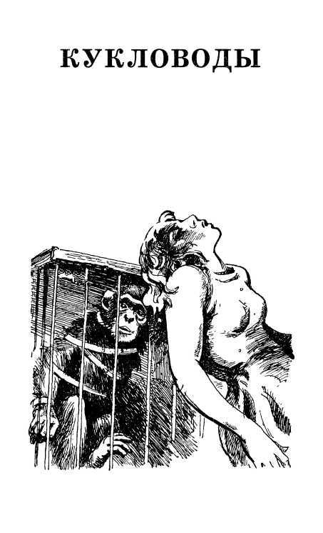 Двойник. Кукловоды<br />(Романы) - i_004.jpg