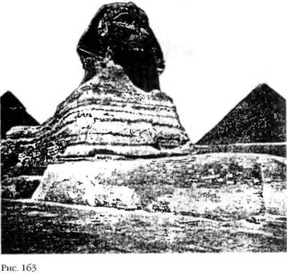 Лестница в небо. В поисках бессмертия - i_164.jpg