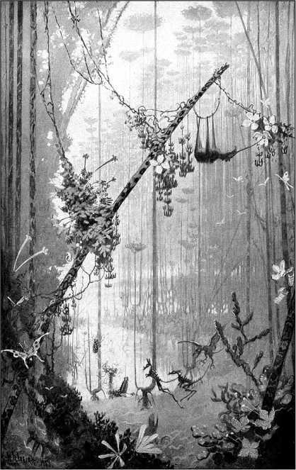 Эликсир жизни<br />(Книга забытой фантастики. Том I) - i_019.jpg