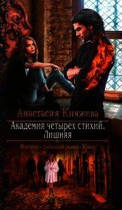 Академия четырех. Академия четырёх стихий. Лишняя Анастасия Княжева книга. Академия четырёх стихий 2 Княжева. Княжева Анастасия Академия четырёх стихий 2. Анастасия Княжева Академия.