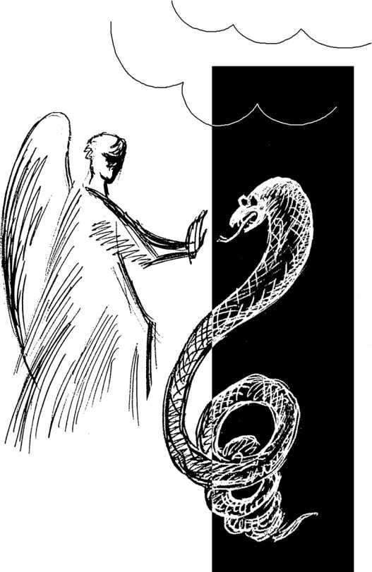 Сказки человека, который дружил с драконом - i_019.jpg