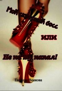 Мой скверный босс или Не на ту напал! (СИ) - Волкова Евгения