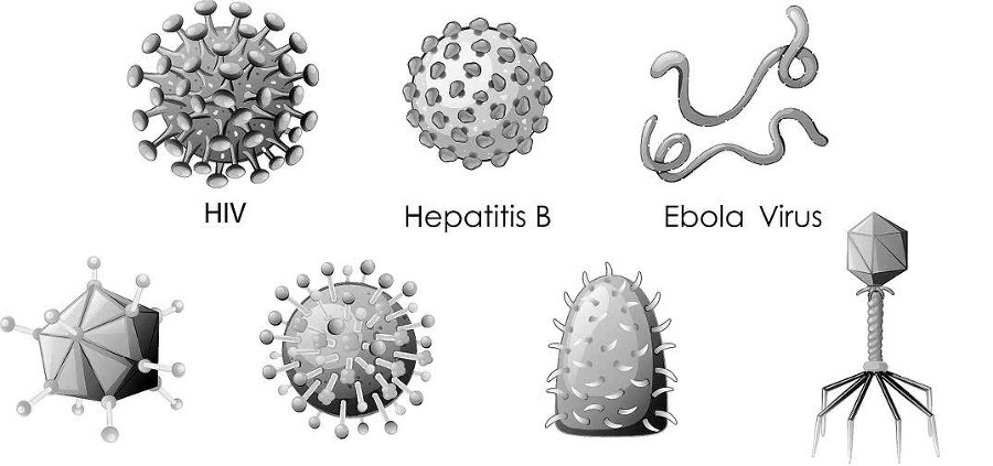 Генетика для начинающих - i_001.jpg