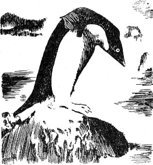 Завоевание полюсов - i_017.jpg