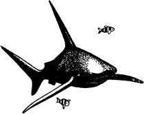 От «Наутилуса» до батискафа - i_047.jpg