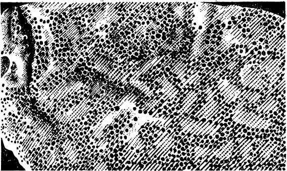 В морской глубине - i_008.jpg