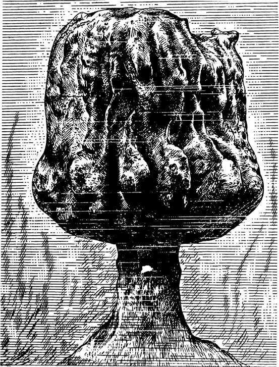 В морской глубине - i_011.jpg