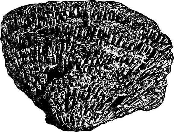 В морской глубине - i_022.jpg