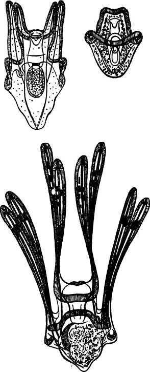 В морской глубине - i_031.jpg