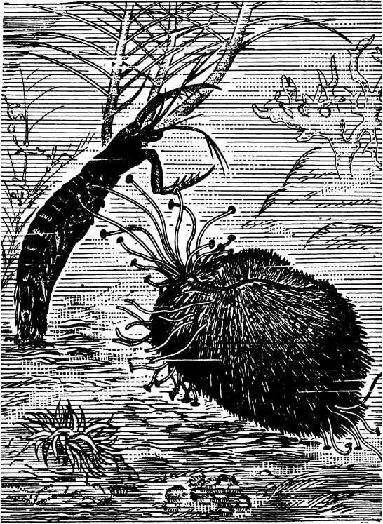 В морской глубине - i_034.jpg