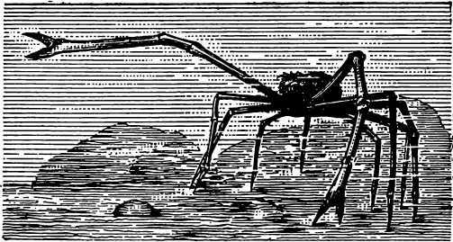 В морской глубине - i_037.jpg