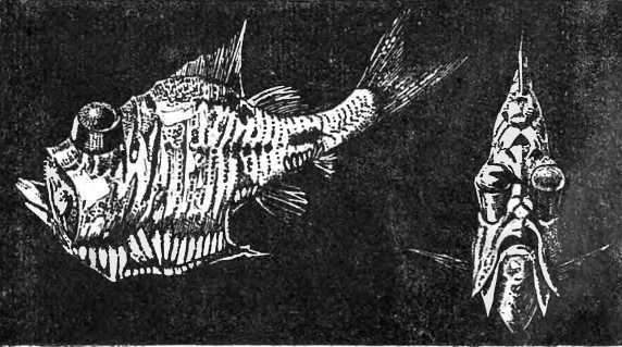 В морской глубине - i_045.jpg