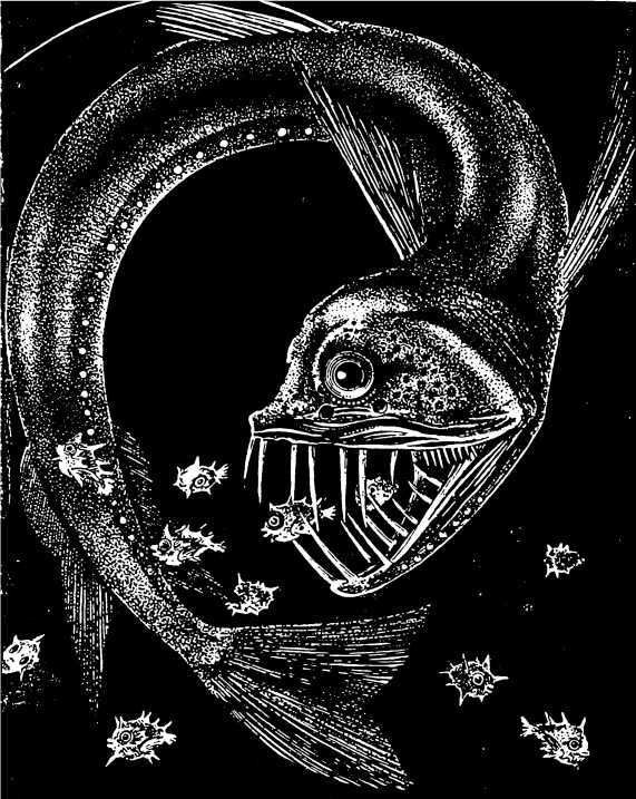 В морской глубине - i_051.jpg