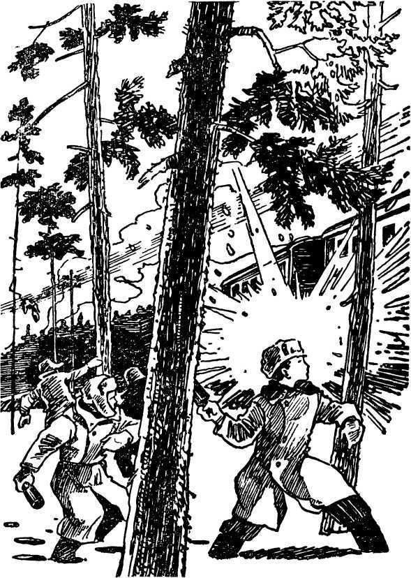 Смелые не умирают - i_003.jpg