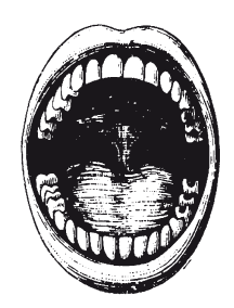 Книга, которую читают все - i_018.png