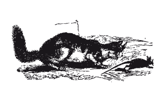 Книга, которую читают все - i_036.png