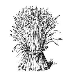 Книга, которую читают все - i_051.png