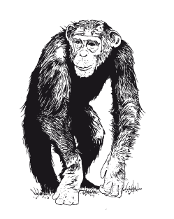 Книга, которую читают все - i_054.png