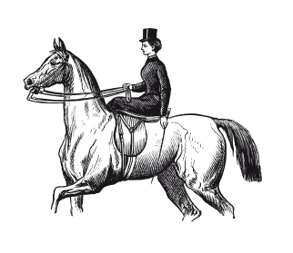 Книга, которую читают все - i_060.png