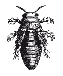 Книга, которую читают все - i_061.png