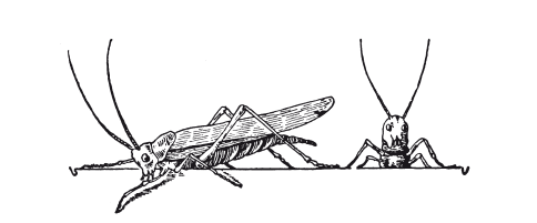 Книга, которую читают все - i_073.png