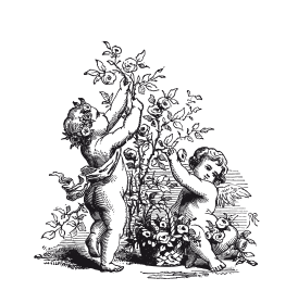 Книга, которую читают все - i_075.png