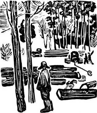 Земля Мишки Дёмина. Крайняя точка<br />(Повести) - i_002.jpg