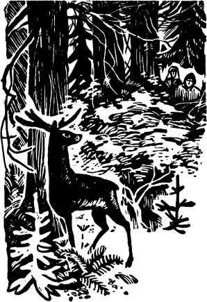 Земля Мишки Дёмина. Крайняя точка<br />(Повести) - i_006.jpg