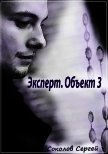 Эксперт. Объект 3 (СИ) - Соколов Сергей