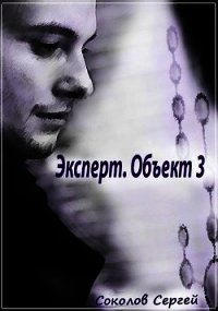 Эксперт. Объект 3 (СИ) - Соколов Сергей