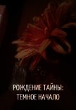Читать книгу Рождение Тайны: Темное начало (СИ), автор "Вайли" Рождение Тайны: Темное начало (СИ) - "Вайли"