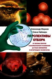 Перспективы отбора - Марков Александр Владимирович